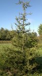2012-10-28-276.jpg