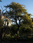 _MG_9318.JPG