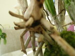 PB030167.JPG