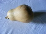 DSCF0766.JPG