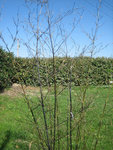 IMG_5180.JPG