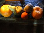 DSCF0773.JPG
