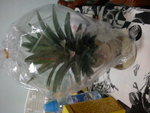 DSC00280.JPG