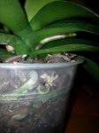 20121121_085819_1270216262.jpg