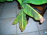 DSCN2586.JPG