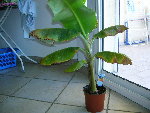 DSCN2587.JPG