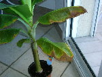 DSCN2589.JPG