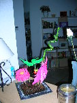 DSCN2591.JPG