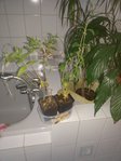 20121128_112039 (Copier).jpg