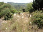 11-08-03-g.JPG