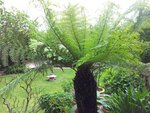 juillet2012 132.jpg