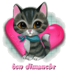 Bon dimanche CHAT.gif