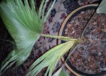 DSC00210.jpg