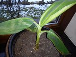 DSC00211.jpg