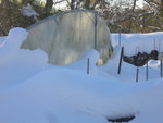 serre et neige 1.jpg