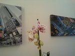 2012-12-15 09.34.27.jpg