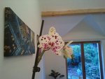 2012-12-15 09.34.49.jpg