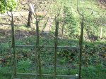 P1010017.JPG