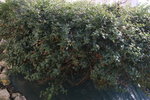 IMG_3631.resized.JPG