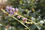IMG_3633.resized.JPG