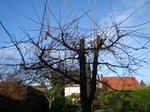 DSC01609.JPG