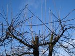 DSC01610.JPG