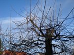 DSC01611.JPG