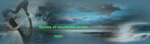 4.gif