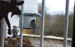 Copie de P1020620.JPG