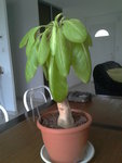 2013-01-03 11.13.56.jpg