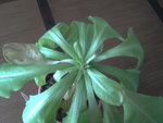 2013-01-03 11.14.14.jpg