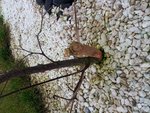 20130105_153910.jpg