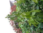 IMG_0805.jpg