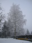 givre x.jpg