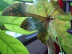 DSC05623.JPG