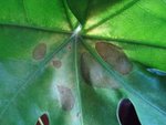 DSC05631.JPG