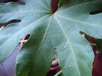 DSC05632.JPG
