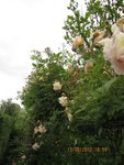 2012-06-13 Gh.de Fel X.jpg