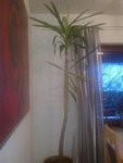 220120131129.jpg