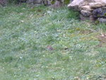 P1010843.JPG