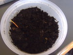 P1010840.JPG