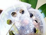 100_3817 1.jpg