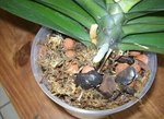 100_3818 1.jpg