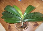100_3819 1.jpg