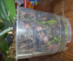 100_3821 1.jpg