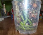 100_3823 1.jpg