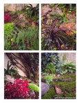 jardin-automne-decocot.jpg