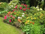 Flashy mixed border X.jpg