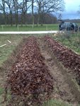 potager 2.JPG