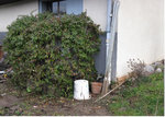 citerne_02.jpg
